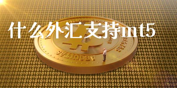 什么外汇支持mt5_https://wap.78312.cn_财经新闻_第1张