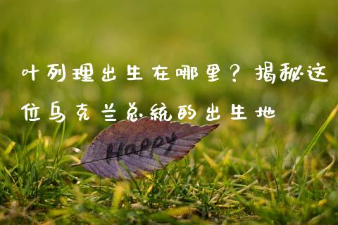 叶列理出生在哪里？揭秘这位乌克兰总统的出生地_https://wap.78312.cn_财经新闻_第1张