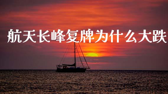 航天长峰复牌为什么大跌_https://wap.78312.cn_财经新闻_第1张