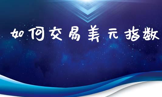 如何交易美元指数_https://wap.78312.cn_金融监管_第1张