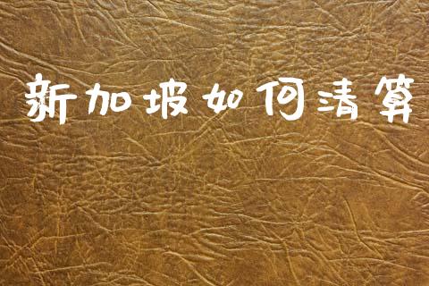 新加坡如何清算_https://wap.78312.cn_金融监管_第1张
