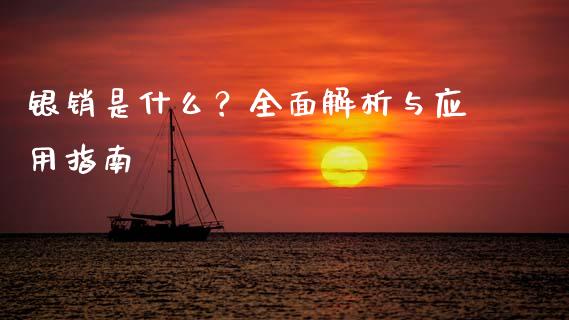 银销是什么？全面解析与应用指南_https://wap.78312.cn_金融监管_第1张