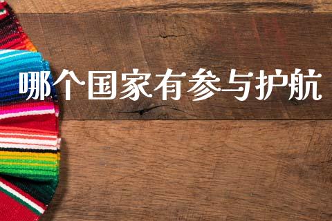 哪个国家有参与护航_https://wap.78312.cn_金融监管_第1张