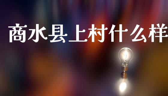 商水县上村什么样_https://wap.78312.cn_债券资讯_第1张