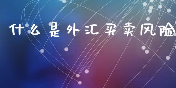 什么是外汇买卖风险_https://wap.78312.cn_金融监管_第1张
