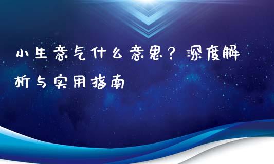 小生意气什么意思？深度解析与实用指南_https://wap.78312.cn_金融监管_第1张