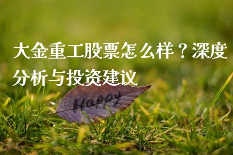 大金重工股票怎么样？深度分析与投资建议_https://wap.78312.cn_财经新闻_第1张