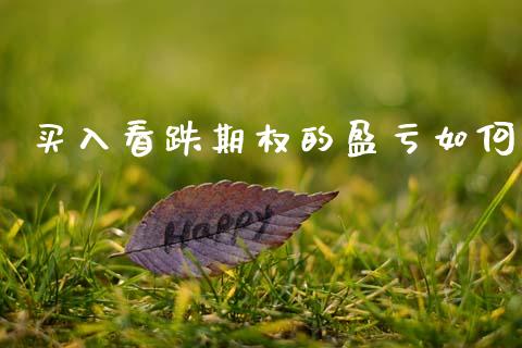 买入看跌期权的盈亏如何_https://wap.78312.cn_财经新闻_第1张