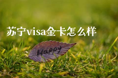 苏宁visa金卡怎么样_https://wap.78312.cn_金融监管_第1张