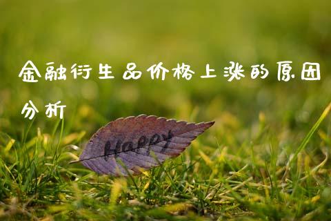 金融衍生品价格上涨的原因分析_https://wap.78312.cn_期货开户_第1张