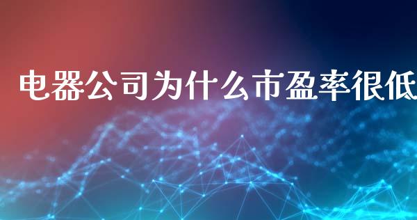 电器公司为什么市盈率很低_https://wap.78312.cn_债券资讯_第1张