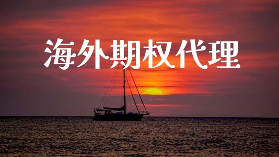 海外期权代理_https://wap.78312.cn_金融监管_第1张