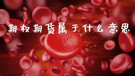 期权期货属于什么意思_https://wap.78312.cn_债券资讯_第1张