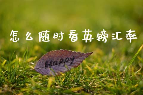 怎么随时看英镑汇率_https://wap.78312.cn_财经新闻_第1张