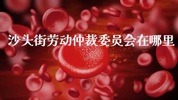 沙头街劳动仲裁委员会在哪里_https://wap.78312.cn_财经新闻_第1张