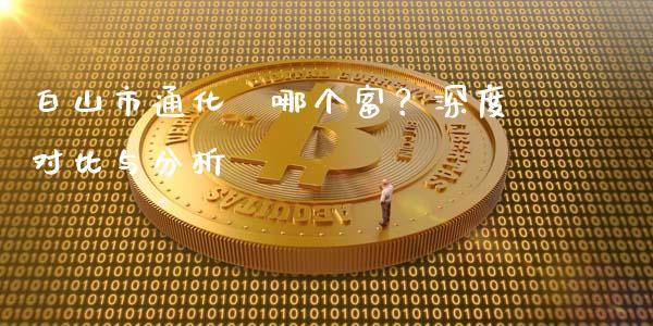 白山市通化巿哪个富？深度对比与分析_https://wap.78312.cn_外汇交易_第1张