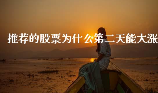 推荐的股票为什么第二天能大涨_https://wap.78312.cn_金融监管_第1张