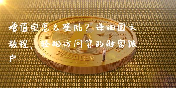 增值宝怎么登陆？详细图文教程，轻松访问您的财富账户_https://wap.78312.cn_期货开户_第1张