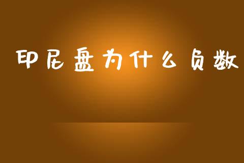 印尼盘为什么负数_https://wap.78312.cn_金融监管_第1张