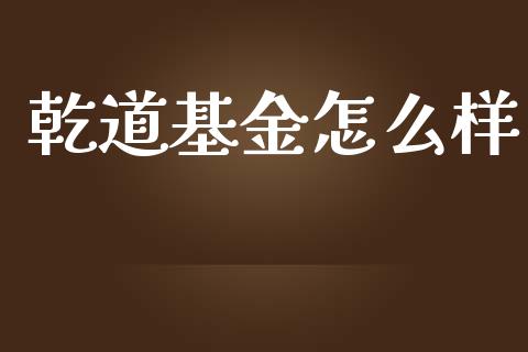 乾道基金怎么样_https://wap.78312.cn_财经新闻_第1张