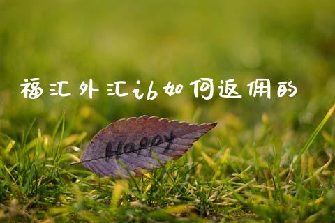 福汇外汇ib如何返佣的_https://wap.78312.cn_期货开户_第1张
