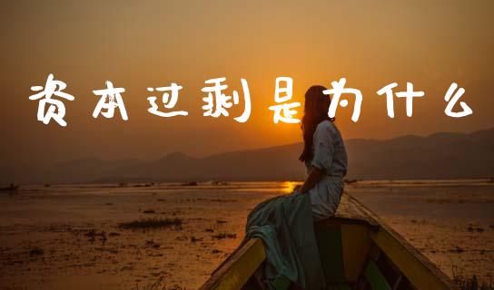 资本过剩是为什么_https://wap.78312.cn_财经新闻_第1张