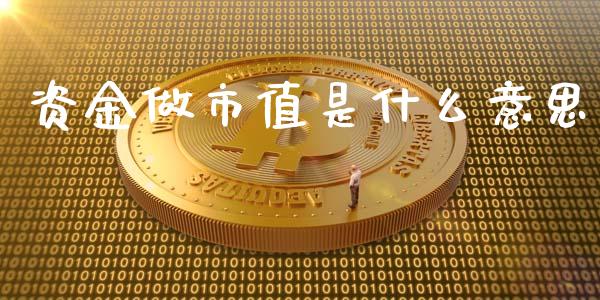 资金做市值是什么意思_https://wap.78312.cn_财经新闻_第1张