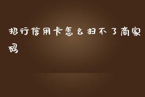 招行信用卡怎么扫不了商家码_https://wap.78312.cn_金融监管_第1张