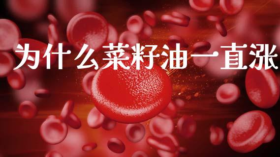 为什么菜籽油一直涨_https://wap.78312.cn_全球市场_第1张