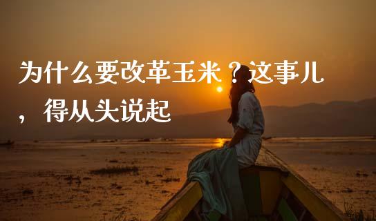 为什么要改革玉米？这事儿，得从头说起_https://wap.78312.cn_财经新闻_第1张