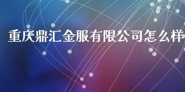 重庆鼎汇金服有限公司怎么样_https://wap.78312.cn_外汇交易_第1张
