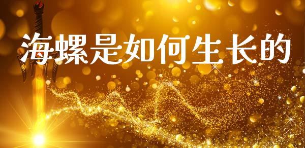 海螺是如何生长的_https://wap.78312.cn_财经新闻_第1张