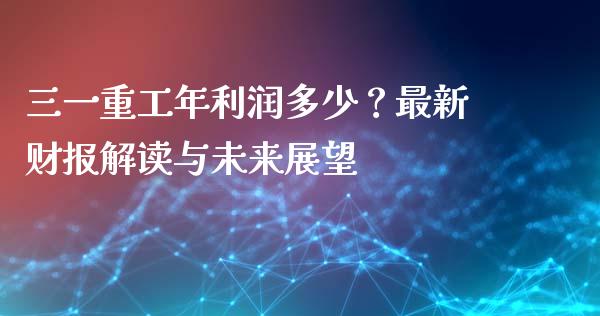三一重工年利润多少？最新财报解读与未来展望_https://wap.78312.cn_外汇交易_第1张