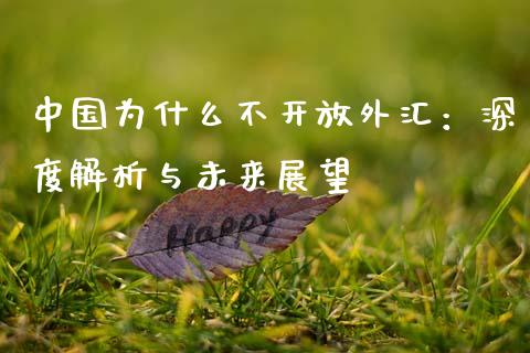 中国为什么不开放外汇：深度解析与未来展望_https://wap.78312.cn_期货开户_第1张