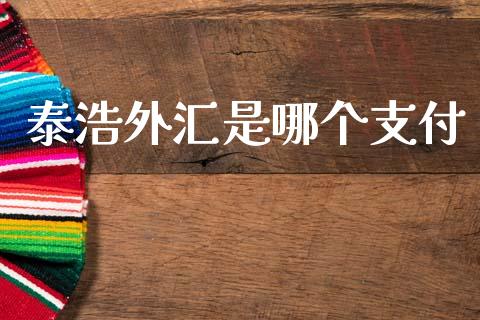 泰浩外汇是哪个支付_https://wap.78312.cn_期货开户_第1张