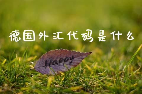德国外汇代码是什么_https://wap.78312.cn_财经新闻_第1张