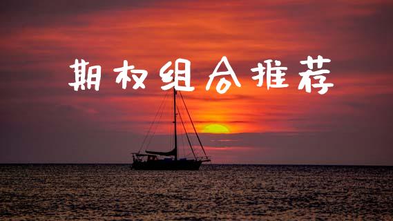 期权组合推荐_https://wap.78312.cn_财经新闻_第1张