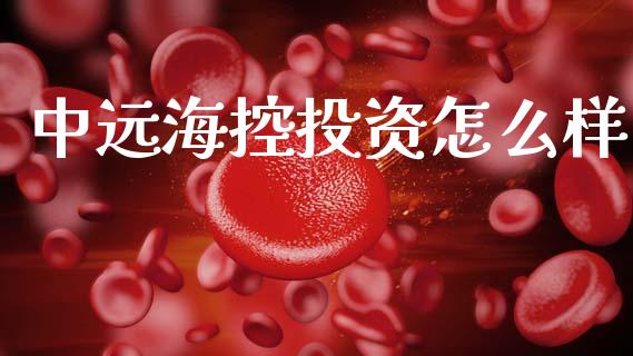 中远海控投资怎么样_https://wap.78312.cn_期货开户_第1张