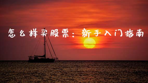 怎么样买股票：新手入门指南_https://wap.78312.cn_债券资讯_第1张