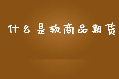 什么是软商品期货_https://wap.78312.cn_债券资讯_第1张