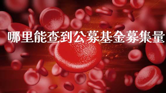 哪里能查到公募基金募集量_https://wap.78312.cn_期货开户_第1张