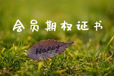 会员期权证书_https://wap.78312.cn_外汇交易_第1张