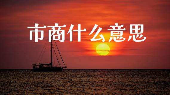 市商什么意思_https://wap.78312.cn_期货开户_第1张
