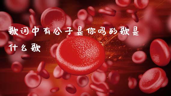歌词中有公子是你吗的歌是什么歌_https://wap.78312.cn_金融监管_第1张