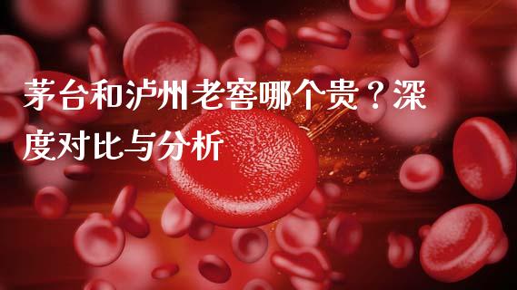 茅台和泸州老窖哪个贵？深度对比与分析_https://wap.78312.cn_债券资讯_第1张