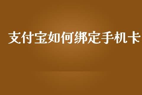 支付宝如何绑定手机卡_https://wap.78312.cn_金融监管_第1张