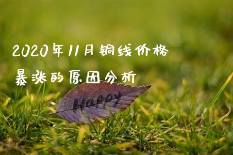 2020年11月铜线价格暴涨的原因分析_https://wap.78312.cn_全球市场_第1张