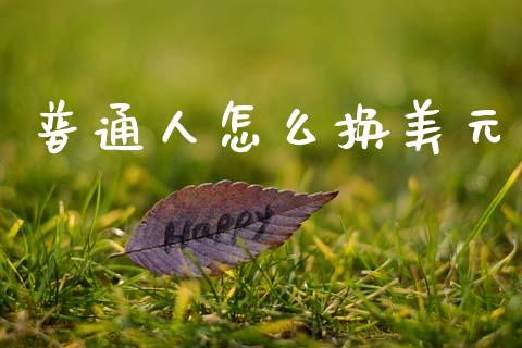 普通人怎么换美元_https://wap.78312.cn_全球市场_第1张