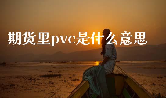期货里pvc是什么意思_https://wap.78312.cn_债券资讯_第1张