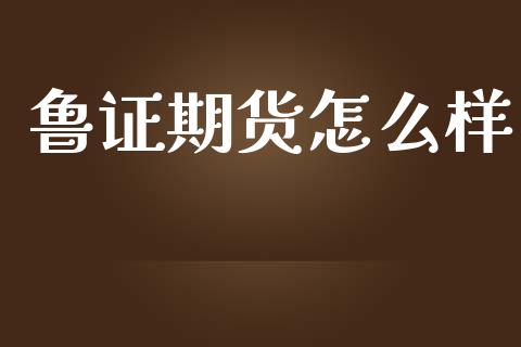 鲁证期货怎么样_https://wap.78312.cn_外汇交易_第1张